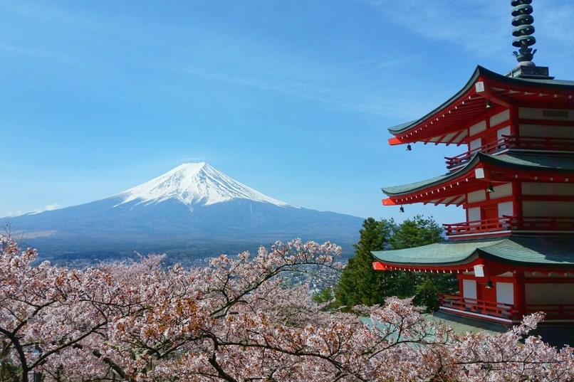 Tokyo to Chureito Pagoda. When to visit Chureito Pagoda for cherry blossoms with Mt Fuji views. Backpacking Tokyo Japan travel blog