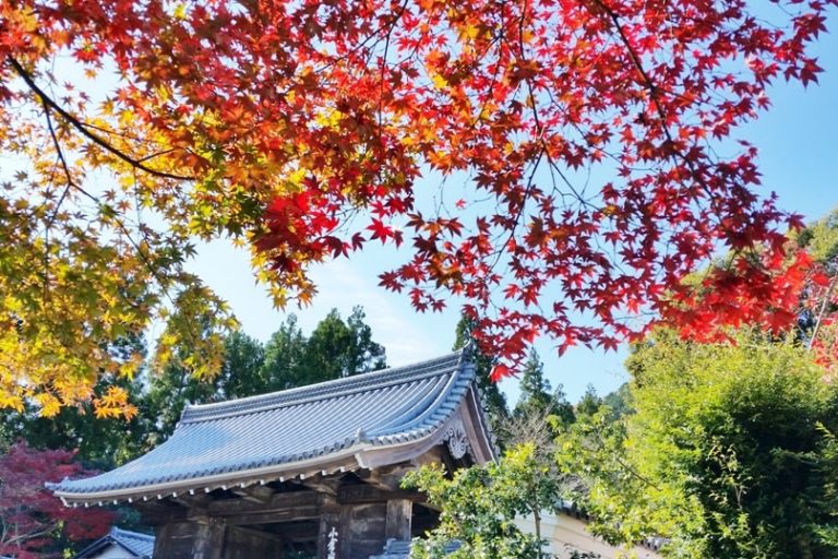 3 day Kyoto Japan fall colors autumn itinerary 🍁 Where I saw fall ...