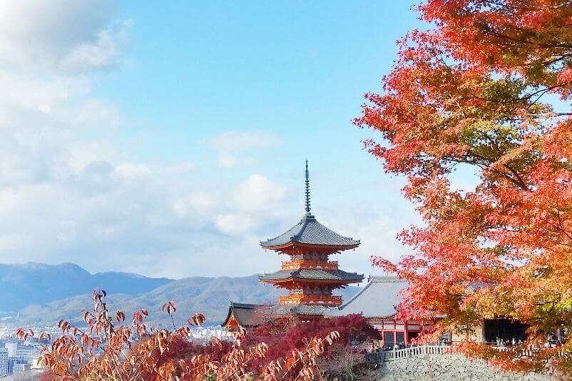 Worst time to visit Japan. Seasons in Japan with crowds: fall in Japan. autumn, fall colors season in Japan. japan travel blog